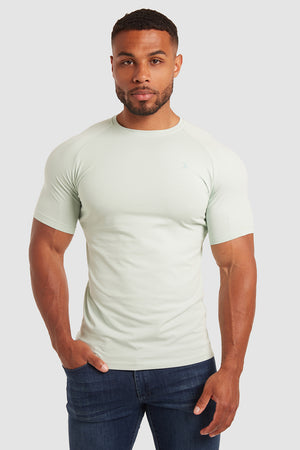 Muscle Fit T-Shirt in Pistachio - TAILORED ATHLETE - ROW