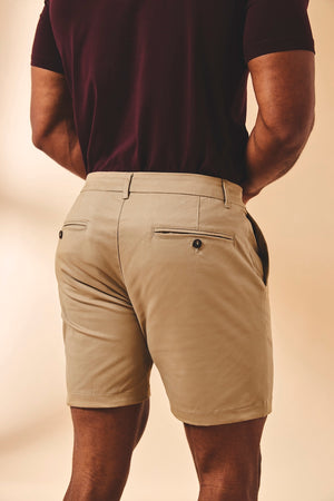 Muscle Fit Chino Shorts in Stone