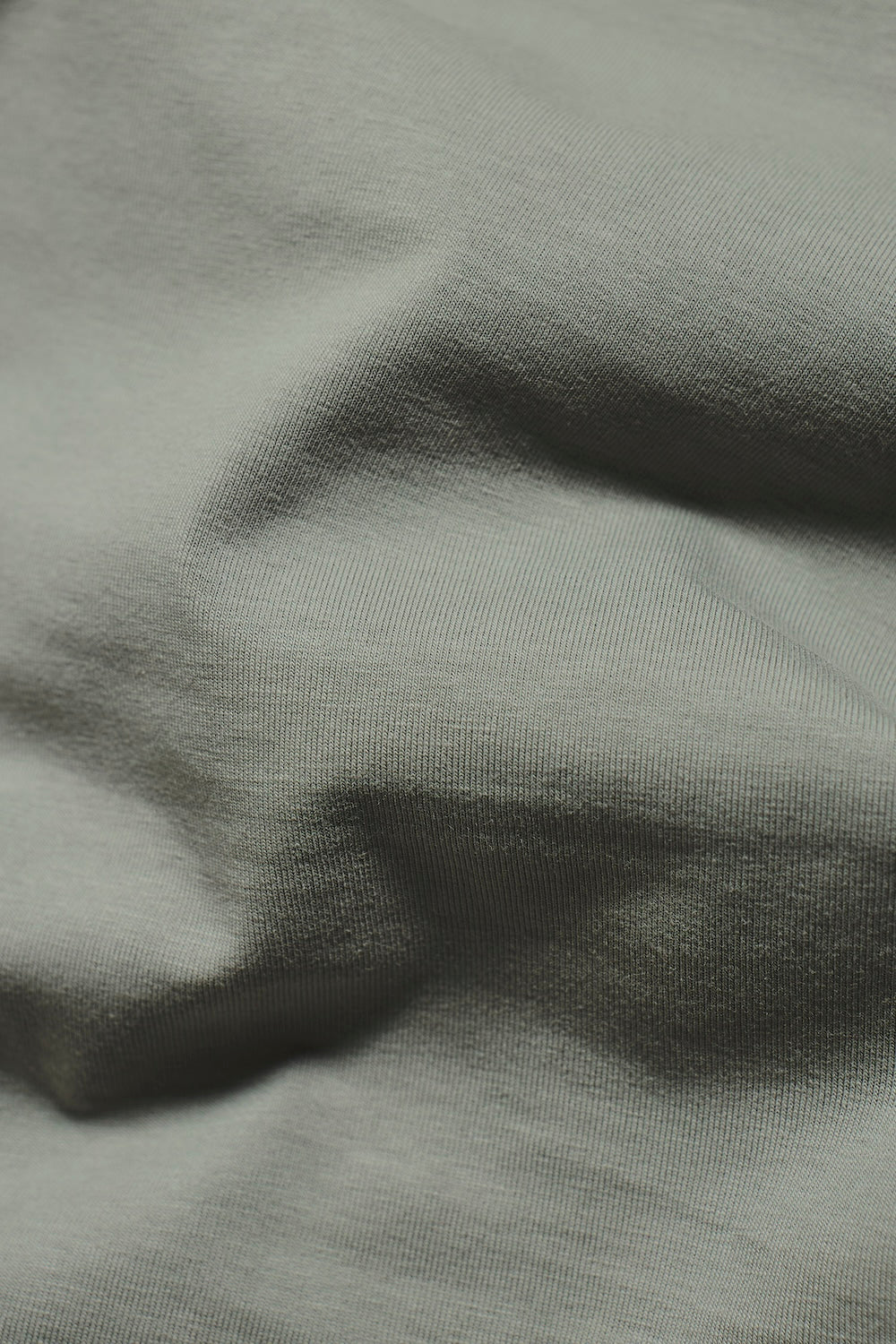 Tipped Fashion Fit T-Shirt in Sage / White