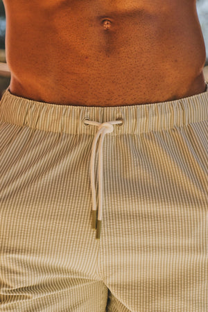 Quick Dry Seersucker Stripe Swim Short in Soft Sage and White