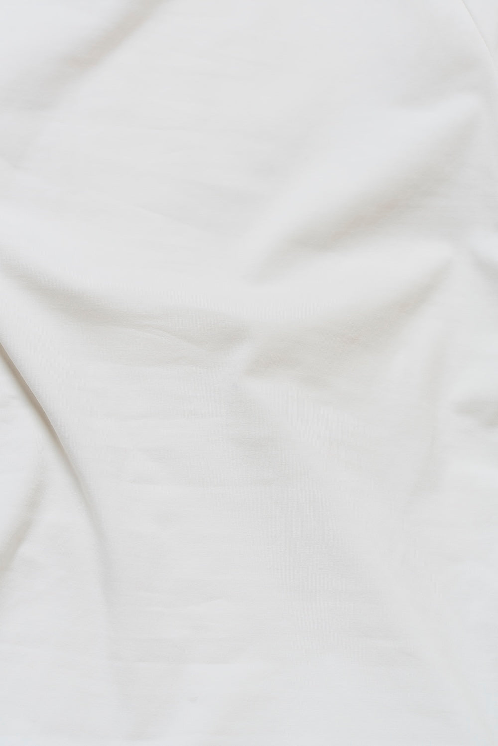 Tipped Fashion Fit T-Shirt in White and Navy