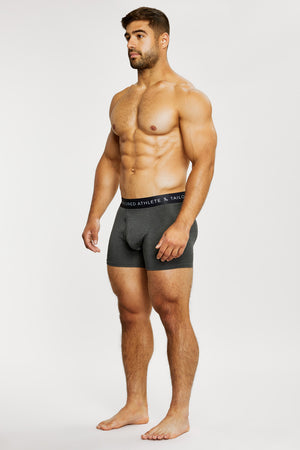 3 Pack Boxer Briefs in Grey - TAILORED ATHLETE - ROW