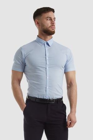 Muscle Fit Business Shirt (SS) in Striped Light Blue - TAILORED ATHLETE - ROW