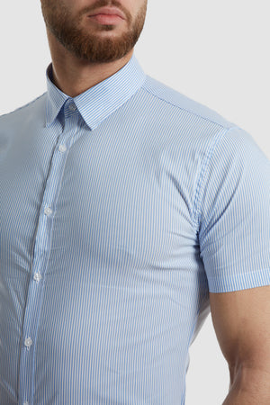 Muscle Fit Business Shirt (SS) in Striped Light Blue - TAILORED ATHLETE - ROW